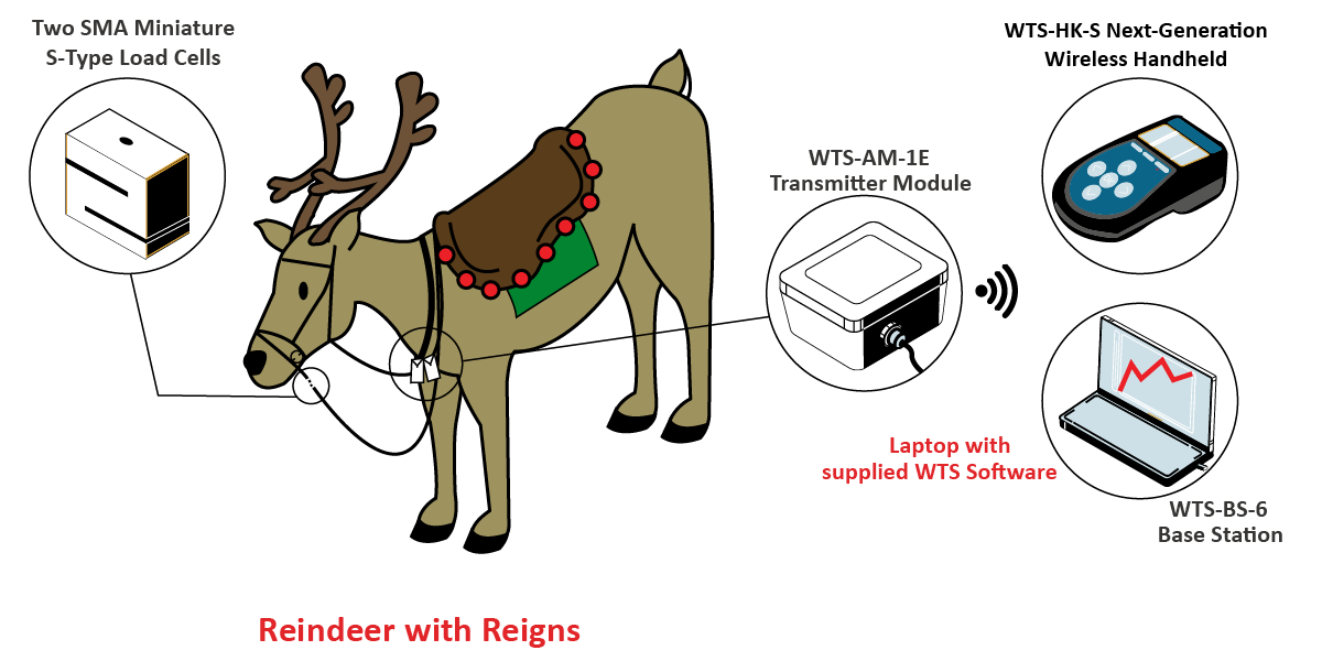 ReindeerWTS Graphic