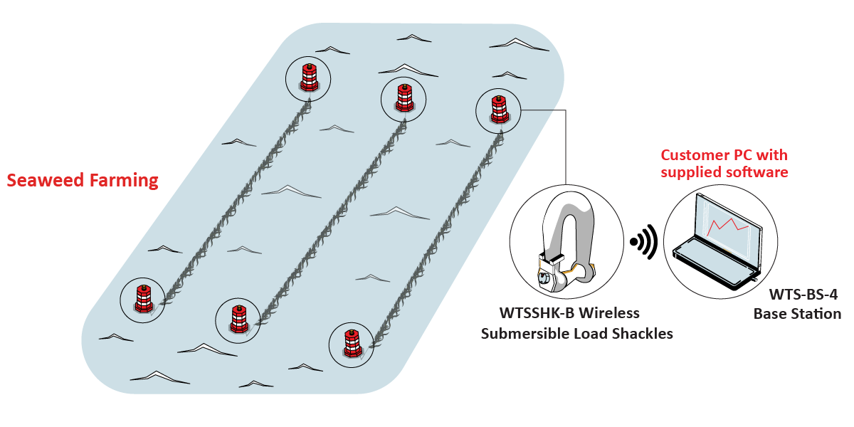 SeaweedFarming Graphic