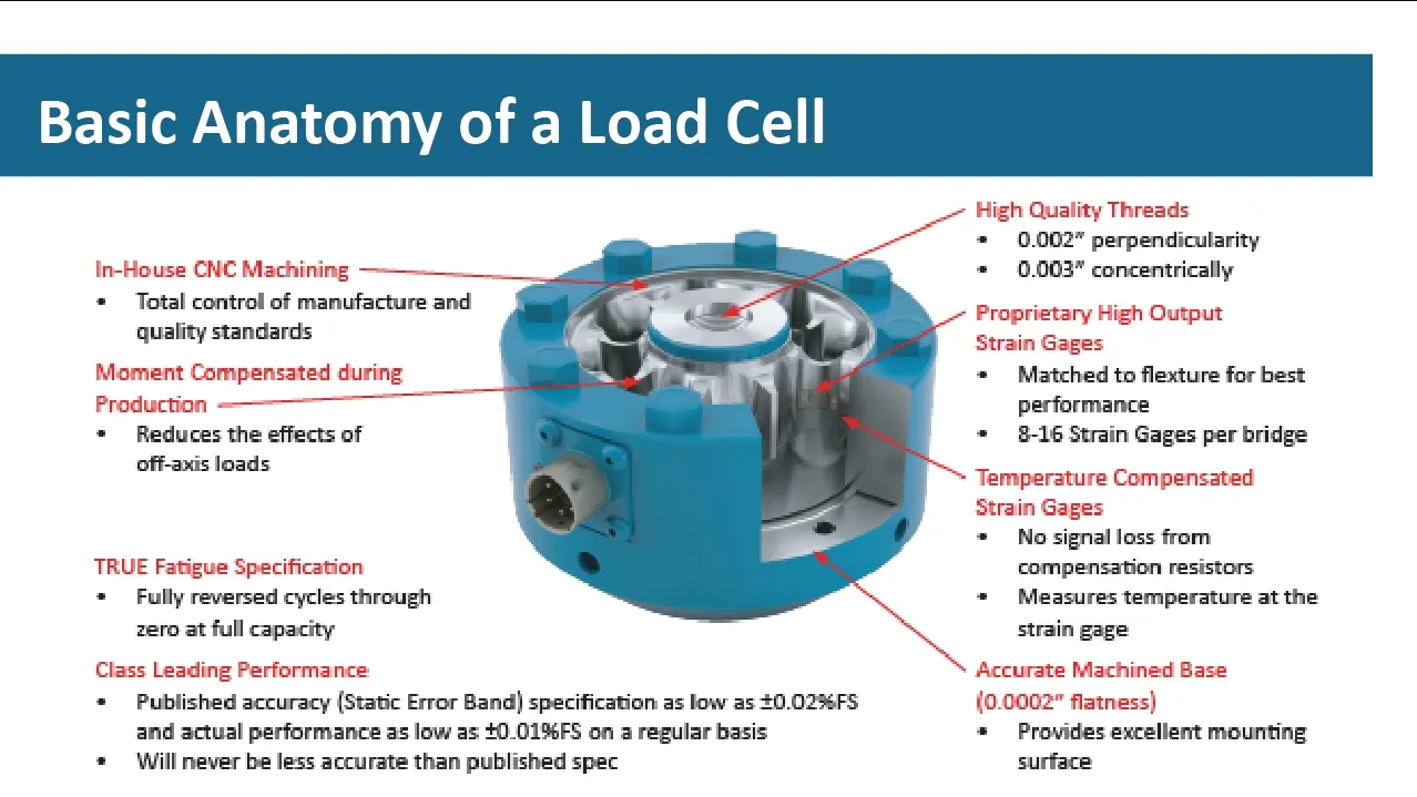 Anatomyloadcell