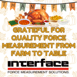 Farm To Table Thanksgiving